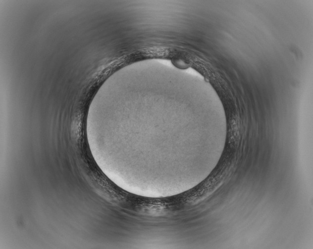 X0000111360600200908211258