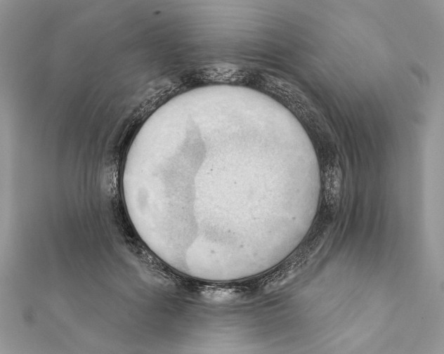 X0000111360602200908211258