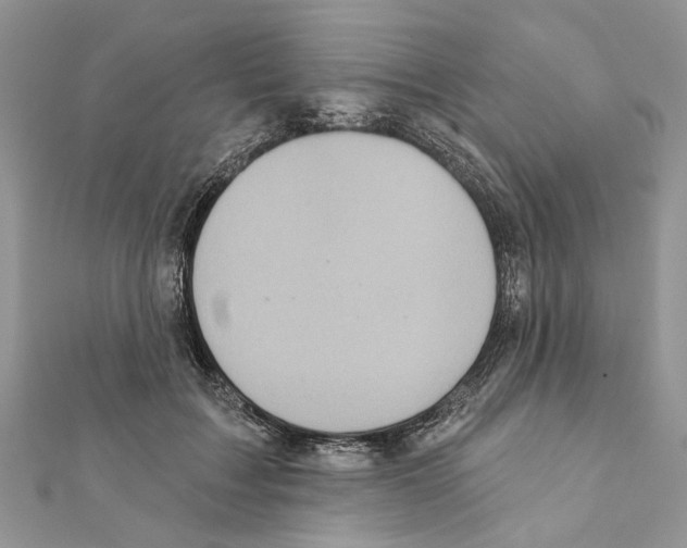 X0000111360603200908211258