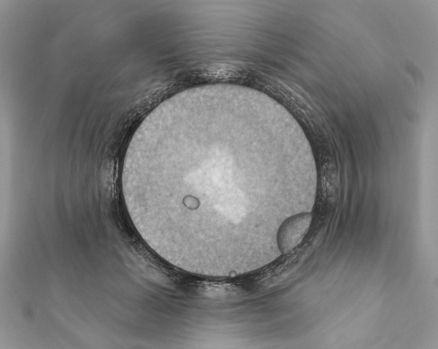 X0000111360605200908211258