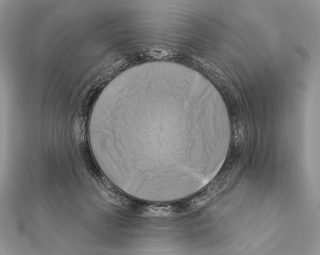 X0000111360606200908211258