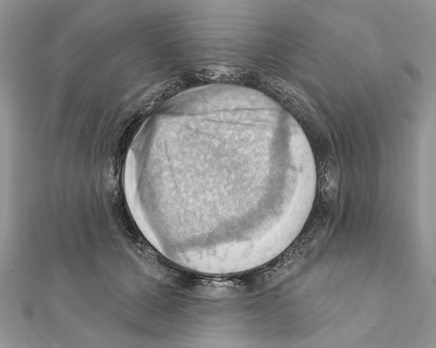 X0000111360607200908211258
