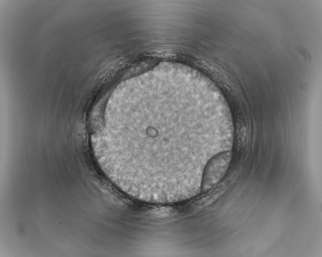X0000111360609200908211258