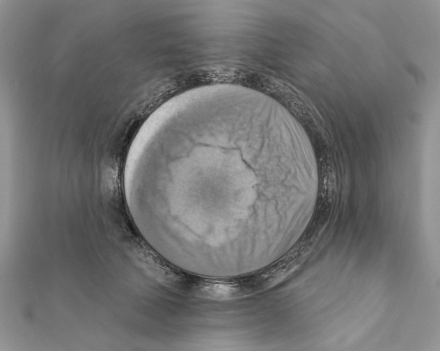 X0000111360610200908211258