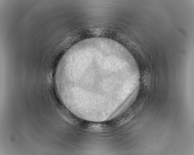 X0000111360611200908211258