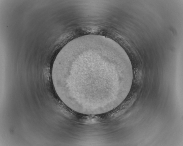 X0000111360612200908211258