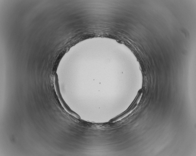 X0000111360613200908211258