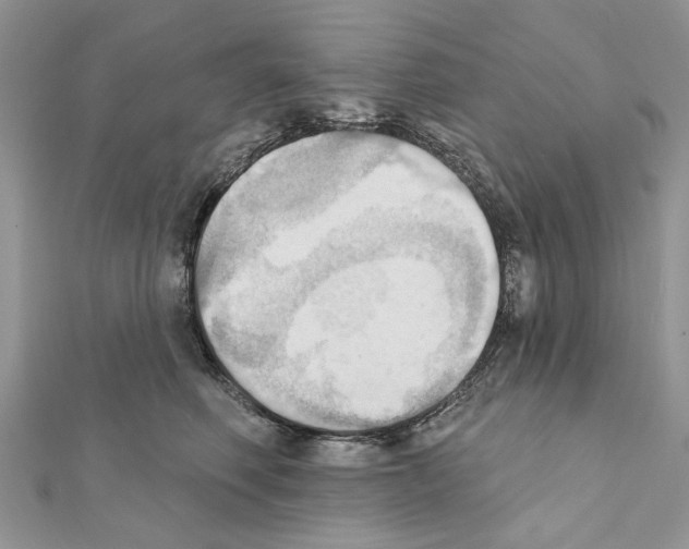 X0000111360614200908211258