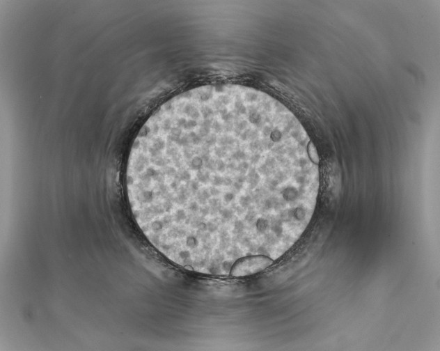 X0000111360615200908211258
