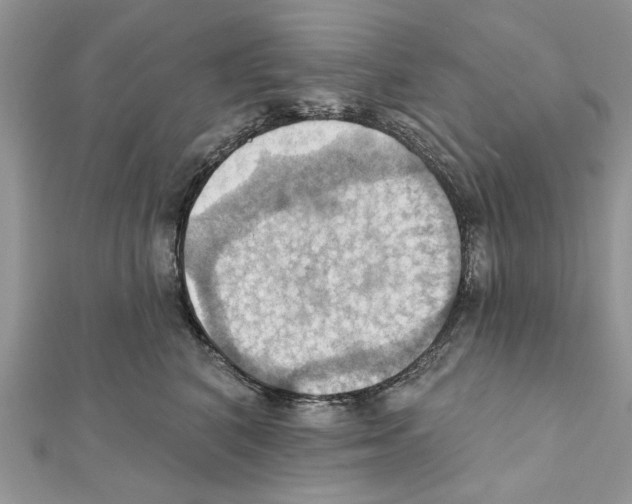 X0000111360616200908211258