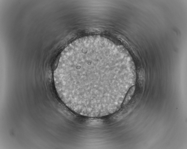X0000111360617200908211258