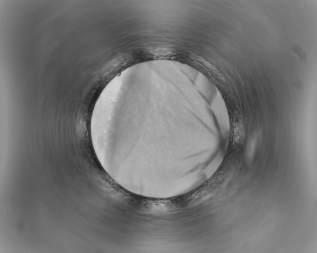 X0000111360618200908211258