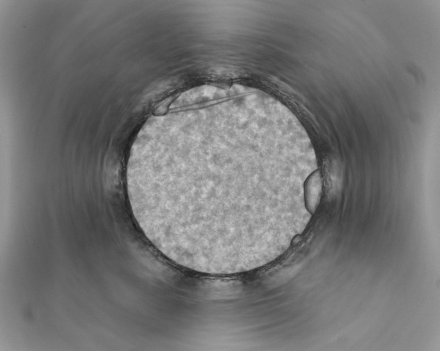 X0000111360619200908211258