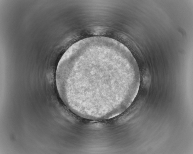 X0000111360620200908211258