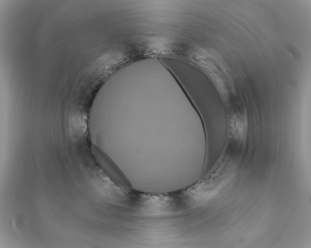 X0000111360621200908211258