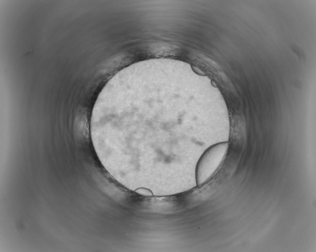 X0000111360622200908211258