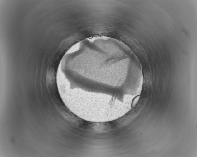 X0000111360623200908211258
