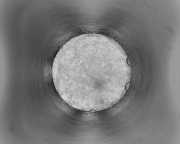 X0000111360624200908211258