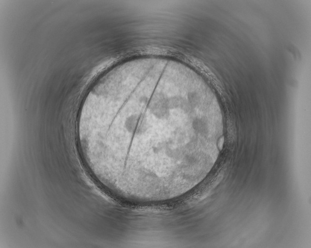 X0000111360625200908211257
