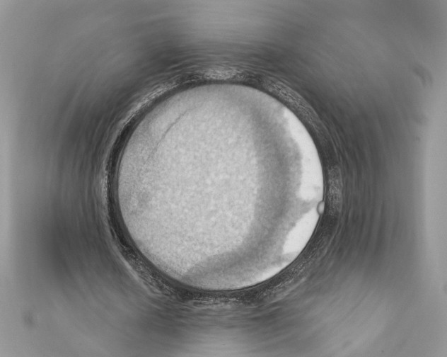 X0000111360626200908211258