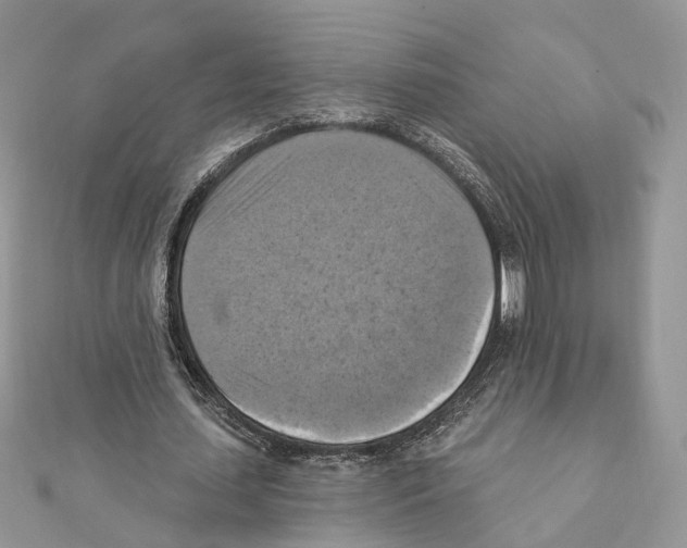 X0000111360627200908211258