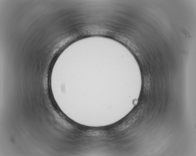 X0000111360629200908211258
