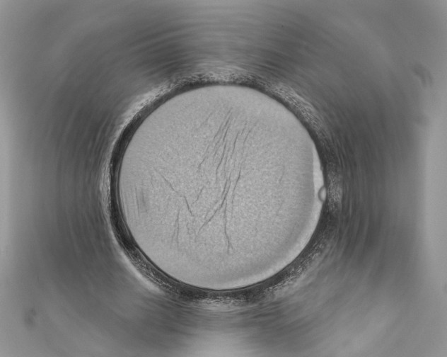 X0000111360630200908211258