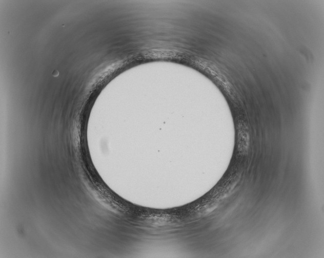 X0000111360631200908211258