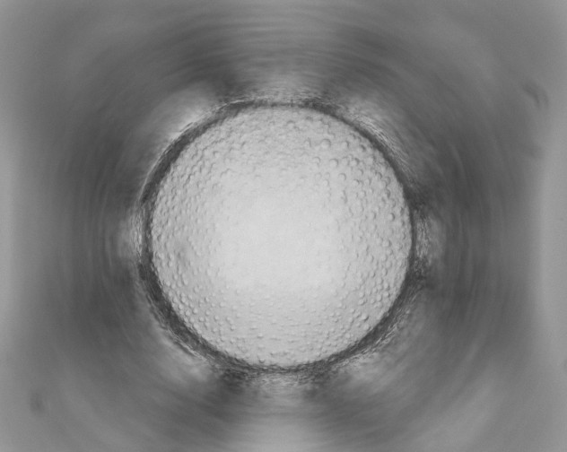 X0000111360632200908211258