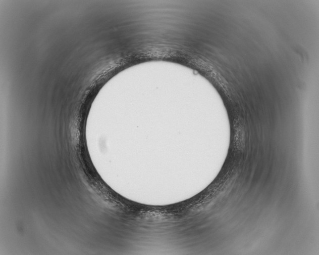 X0000111360635200908211258