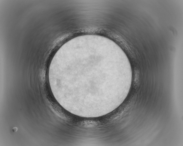 X0000111360636200908211258