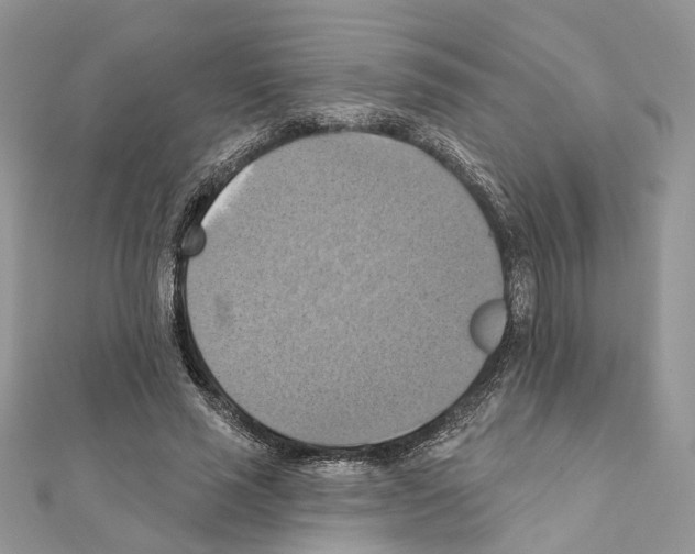 X0000111360637200908211258