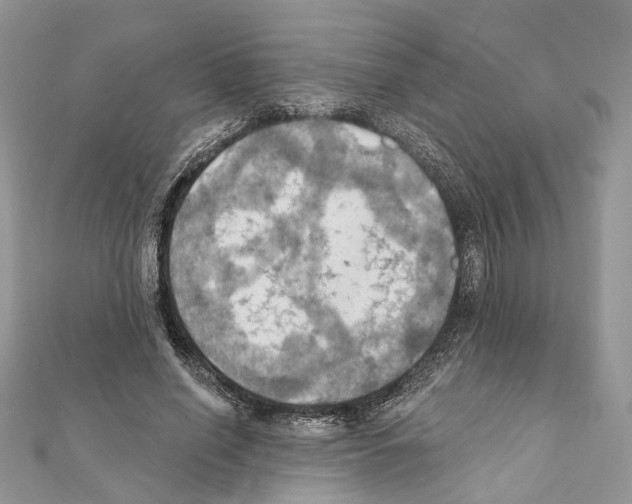 X0000111360638200908211258