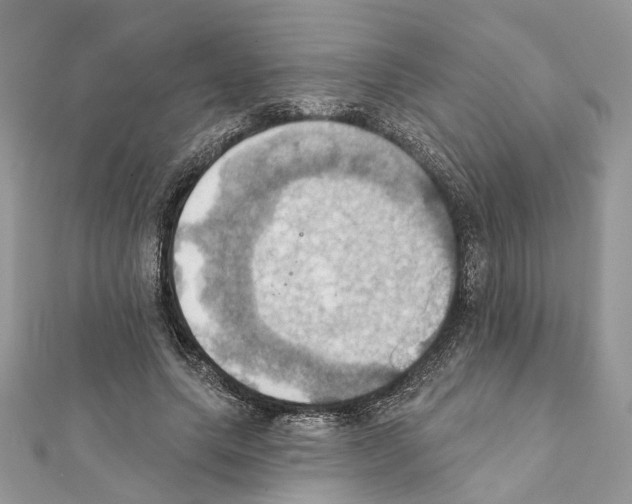 X0000111360639200908211258
