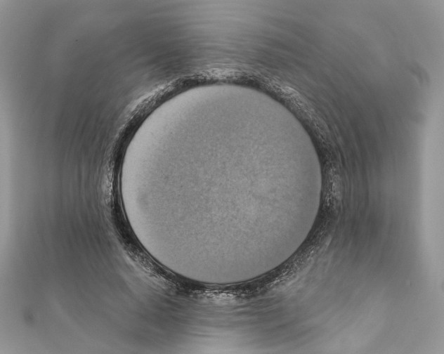 X0000111360640200908211258