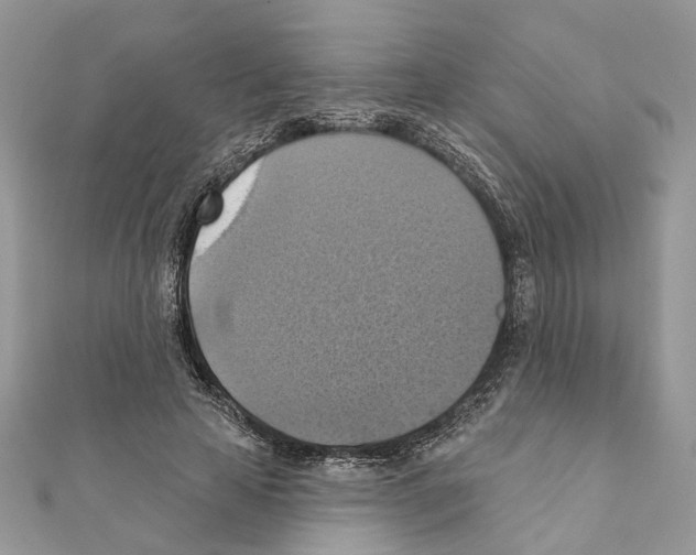 X0000111360641200908211258
