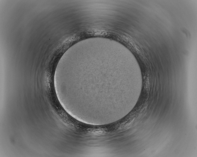 X0000111360643200908211258