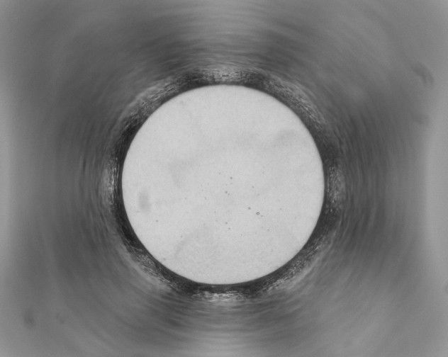 X0000111360645200908211258