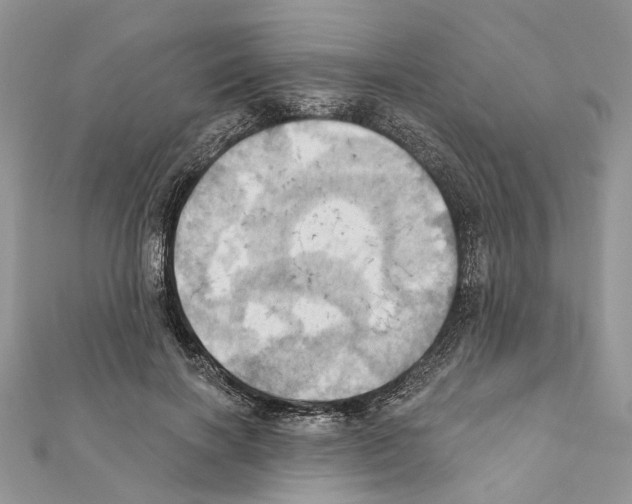 X0000111360646200908211258