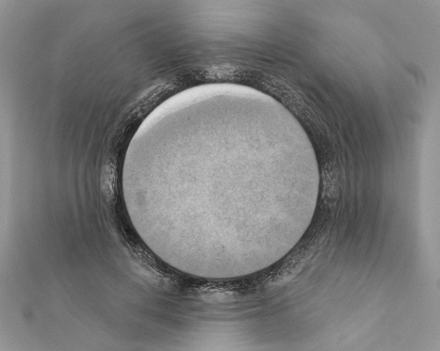 X0000111360648200908211258