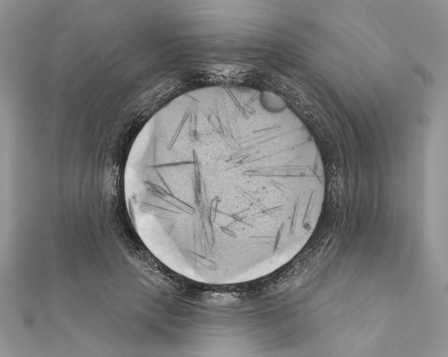 X0000111360649200908211258