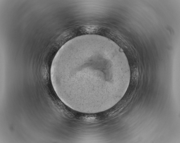 X0000111360651200908211258