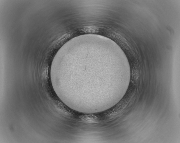X0000111360652200908211258