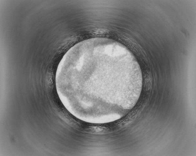 X0000111360654200908211258