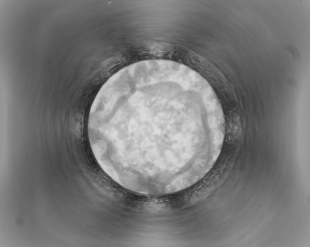 X0000111360656200908211258