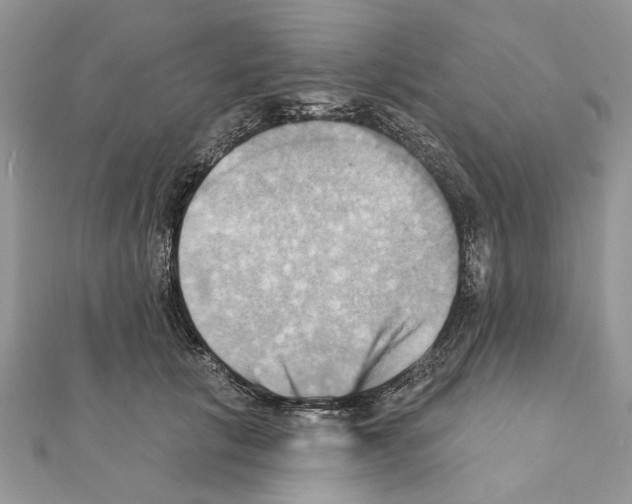 X0000111360657200908211258