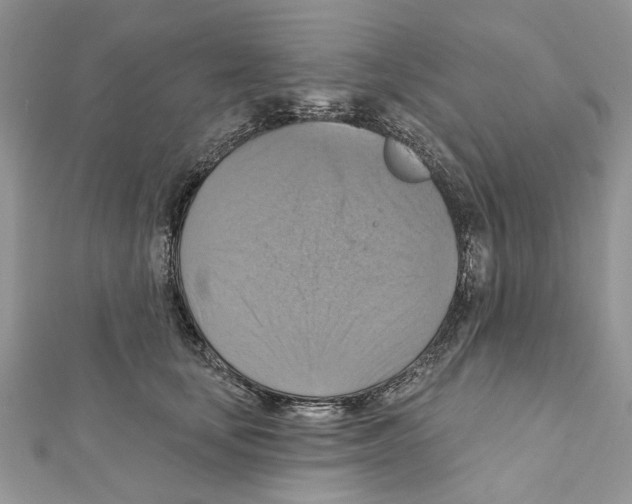 X0000111360659200908211258