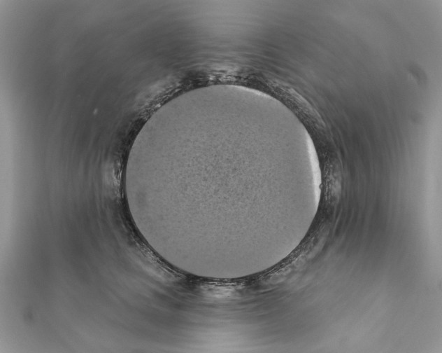 X0000111360661200908211258