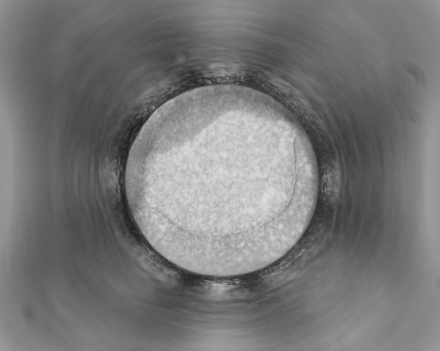 X0000111360662200908211258