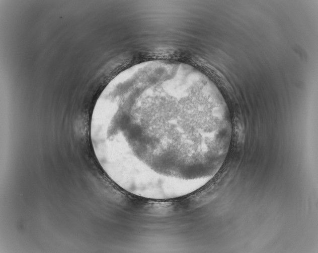 X0000111360665200908211258